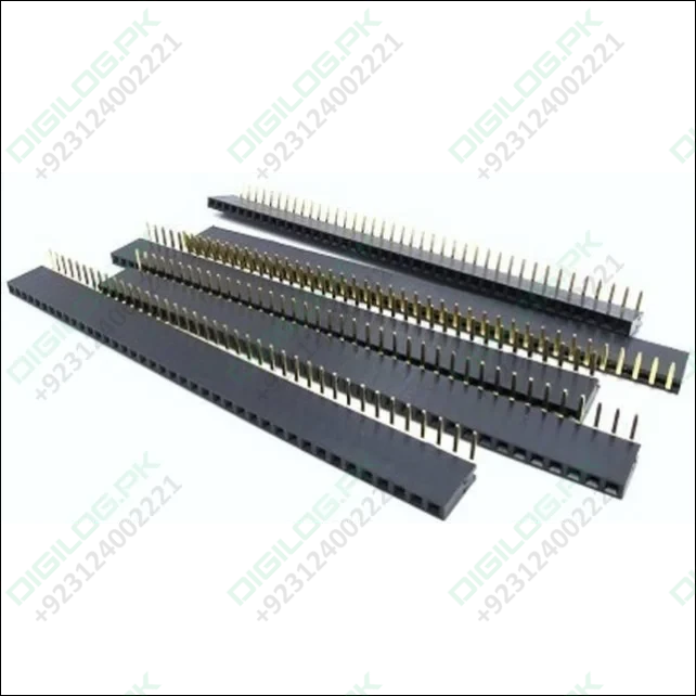 High-quality 2.54mm Pitch 40 Pin Right Angle Female Header (90 Degrees) - Digilog.pk